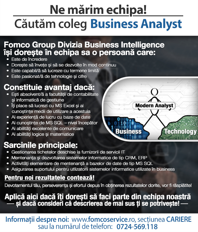 Business Analyst