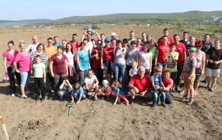 Grupul de firme Fomco a plantat peste 1000 de copaci la Sângeorgiu de Mureș