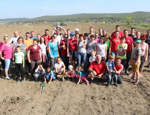 Grupul de firme Fomco a plantat peste 1000 de copaci la Sângeorgiu de Mureș