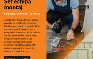 Șef echipă montaj